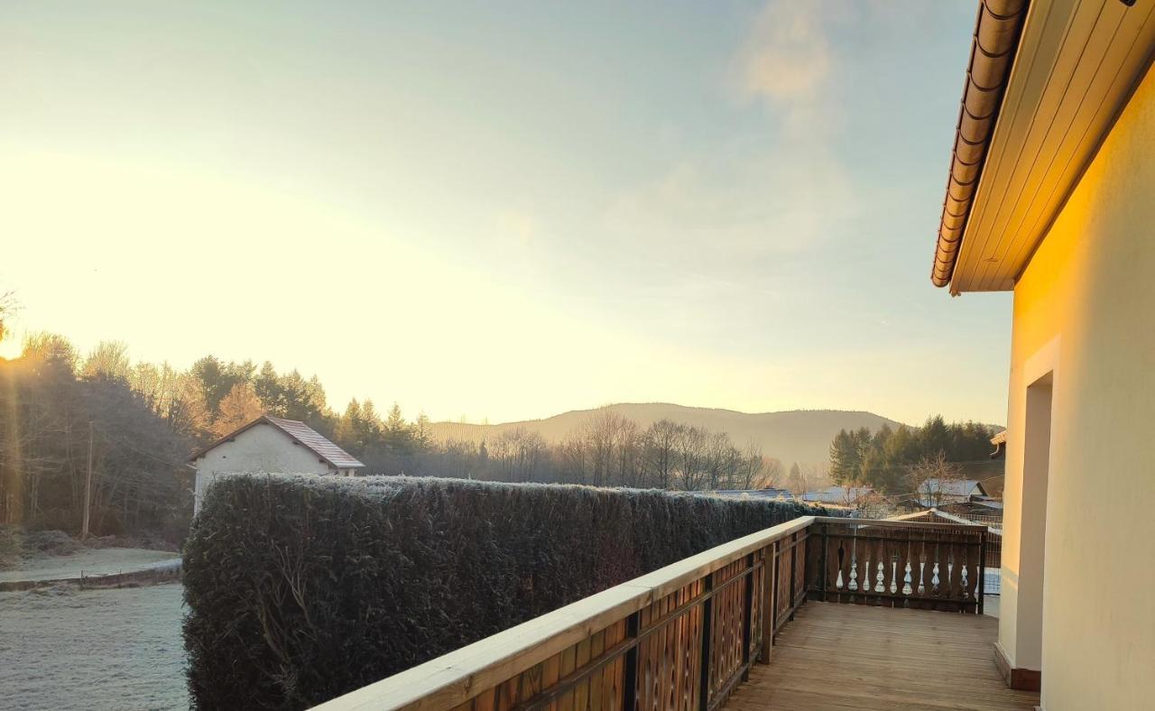 L'Ecrin De Xattys - Gite De Standing-Spa-Terrain De Petanque-Piscine-Switch-Baby-Foot Au Coeur Du Massif Vosgien Cleurie Exterior foto